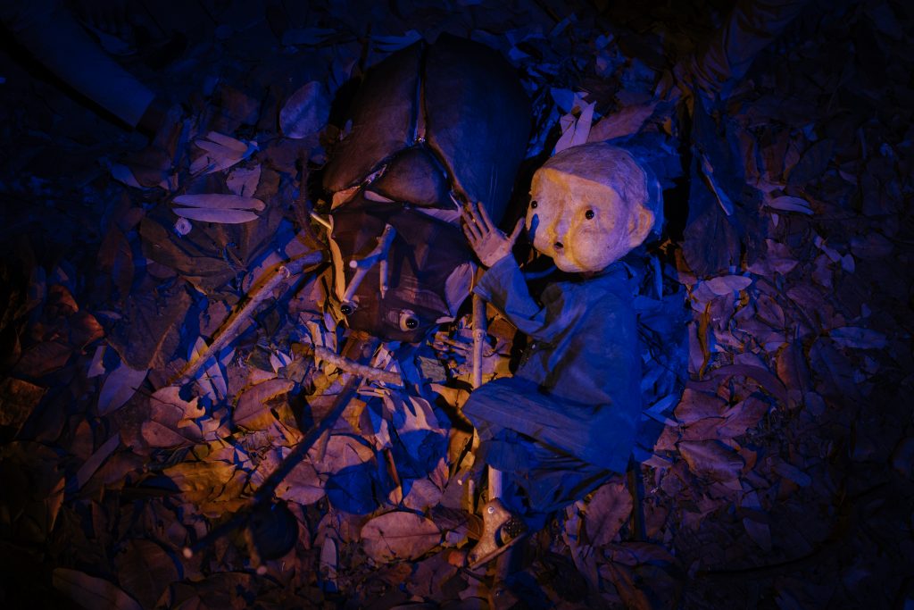 A wood and paper puppet of a boy in blue clothes lying on a bed of brown leaves, beside a large brown beetle.