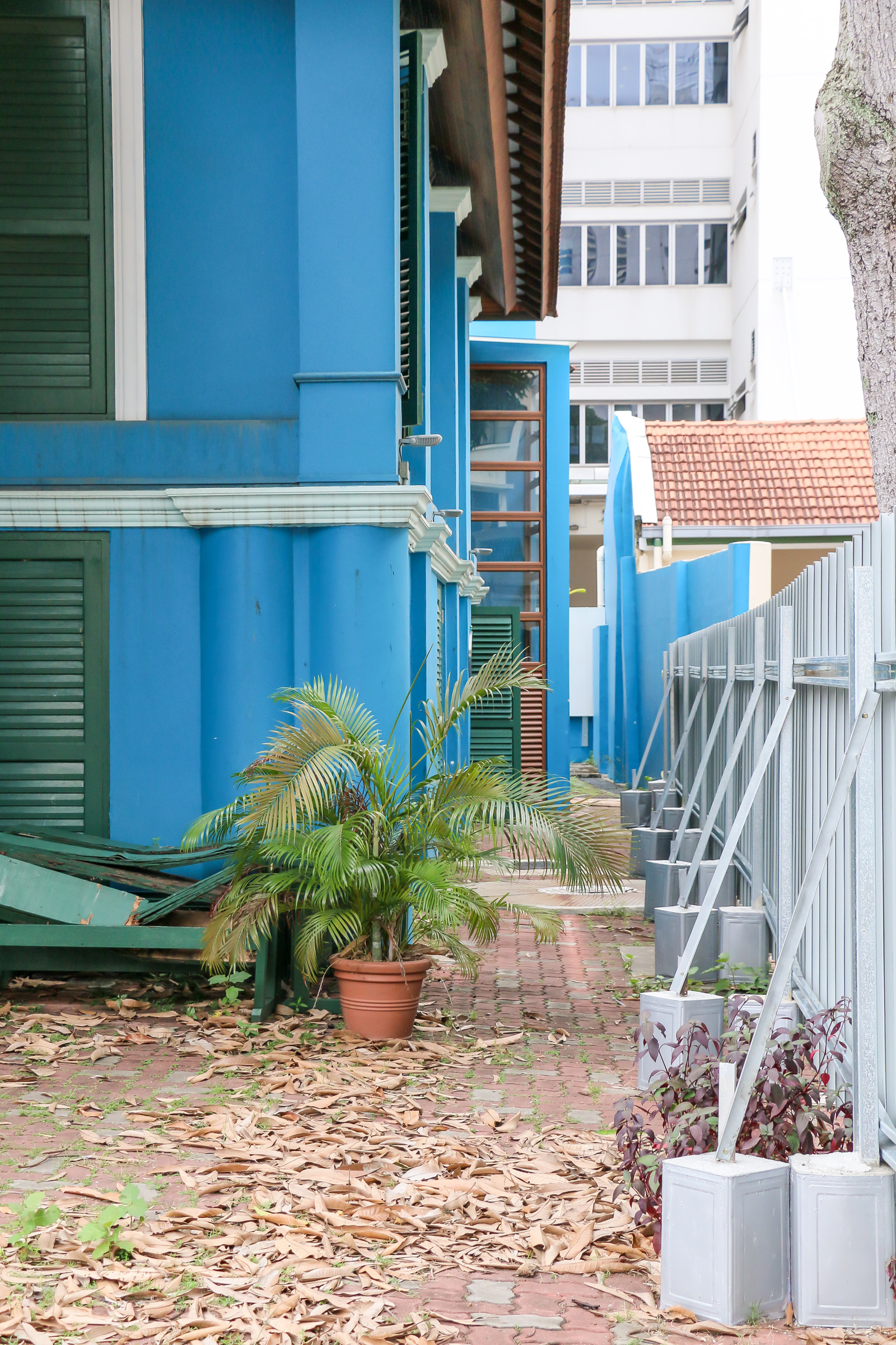 The side corridor at 42 Waterloo Street leading to the rear building, with hoarding up to the right.