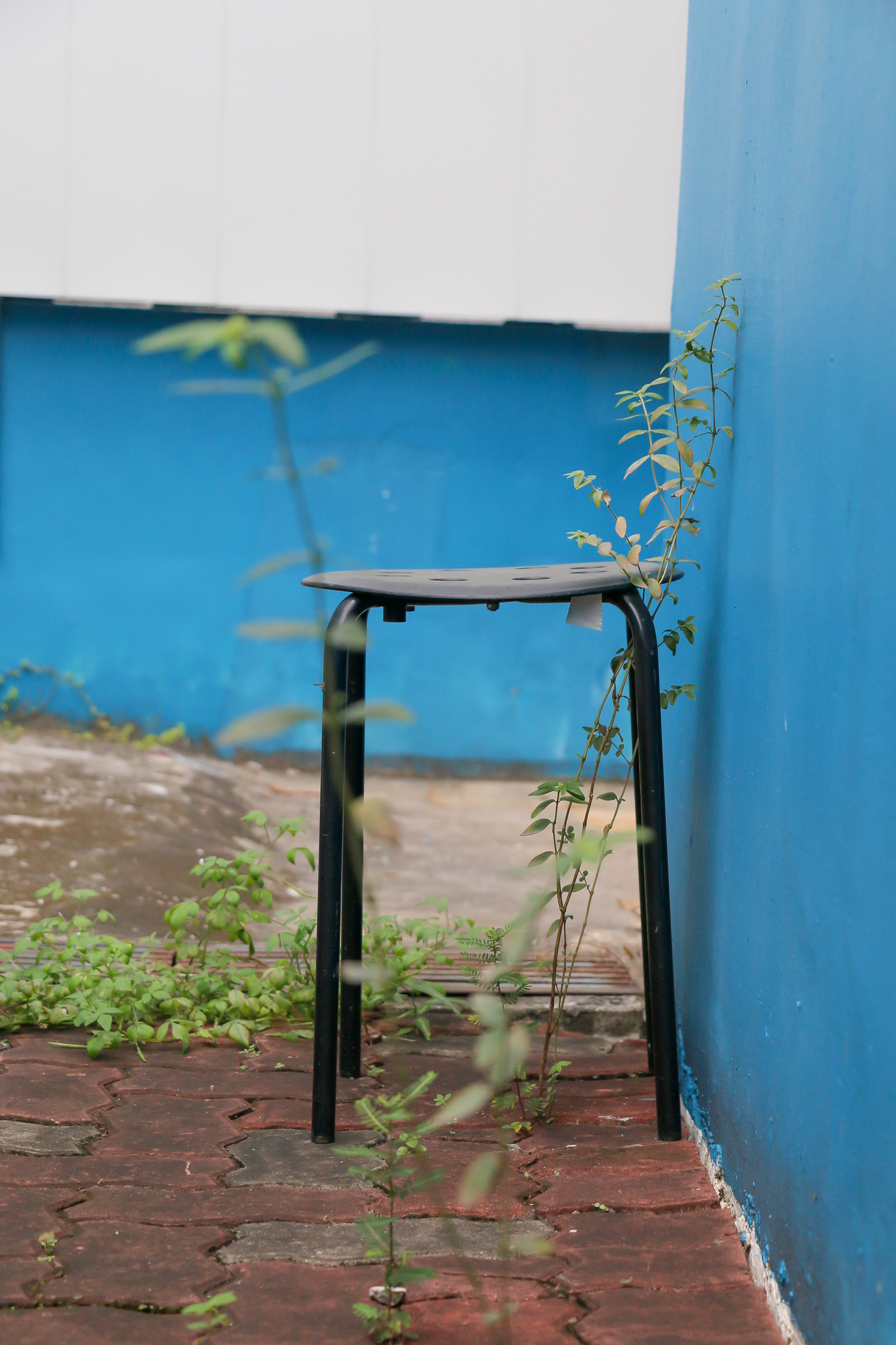 A simple stool against a blue wall, framed by weeds.