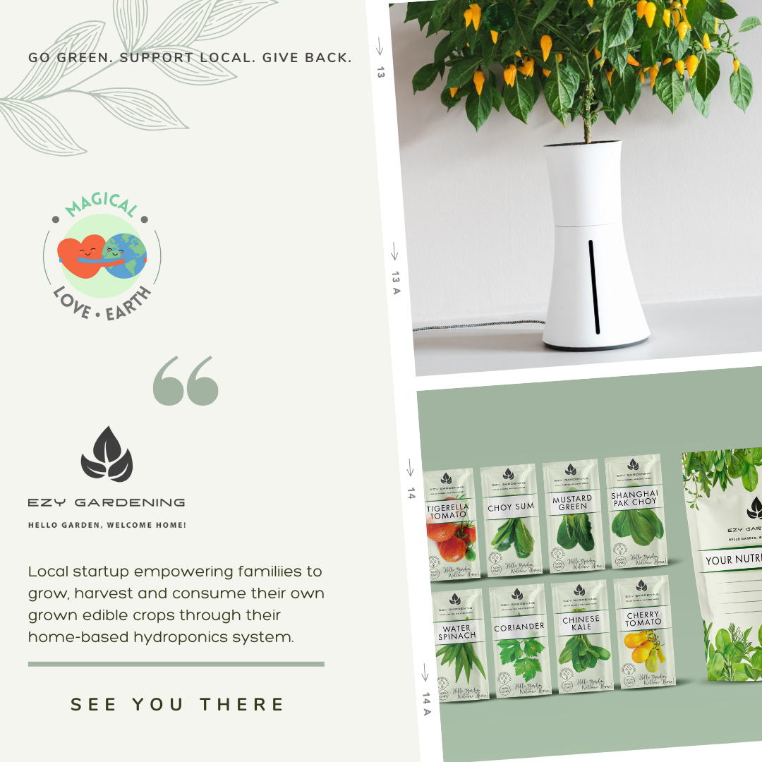 Image of a portable hydroponics planter with a fruit plant growing out of it, and packets of seeds. From EZY Gardening