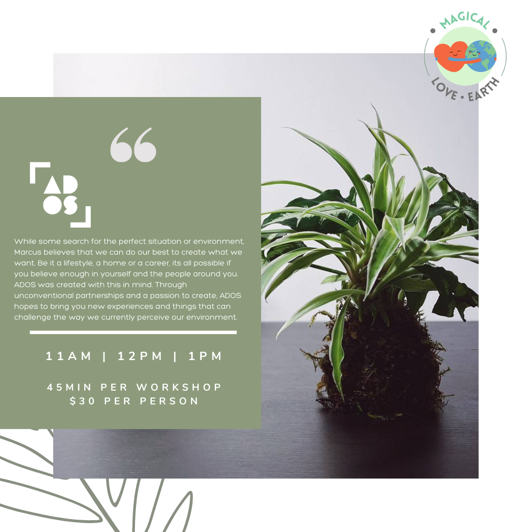 Image of a plant kokedama from ADOS and a blurb of text description of the company